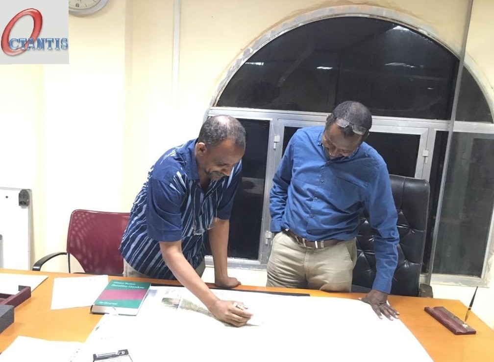 Octantis managing team