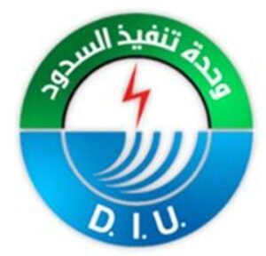 DIU